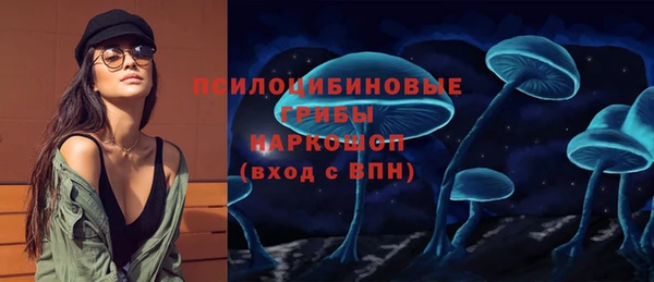 соль ск Балахна