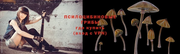 соль ск Балахна