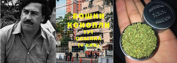 стаф Баксан
