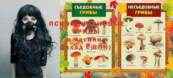 соль ск Балахна