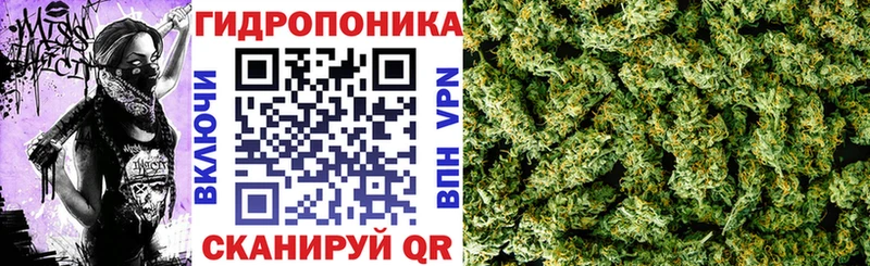 Марихуана сатива  ОМГ ОМГ ссылки  Михайлов 